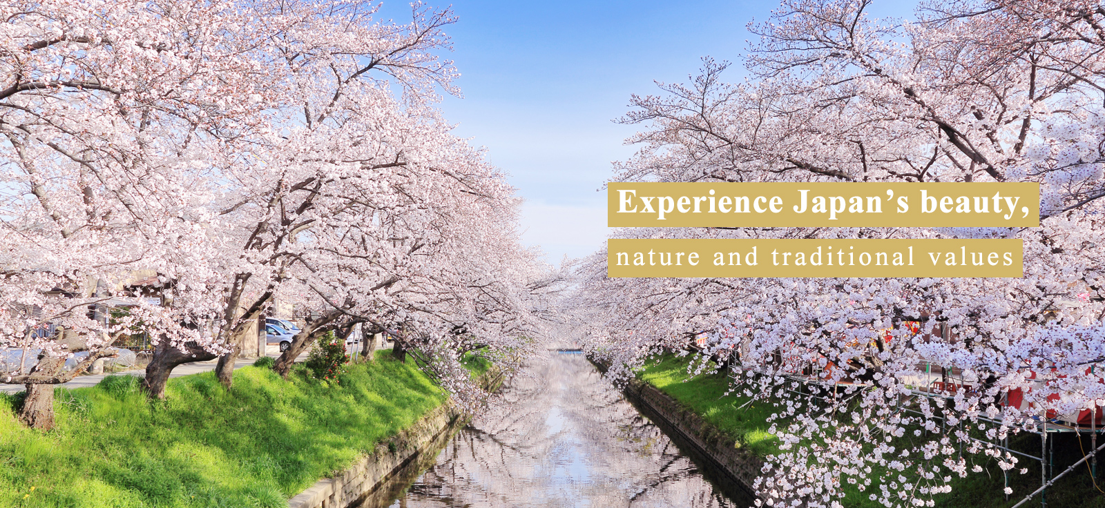 Japan is full of beautiful natural scenery and traditional culture.