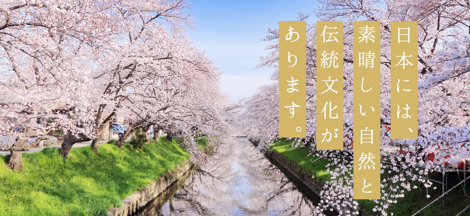 日本には、素晴しい自然と伝統文化があります。