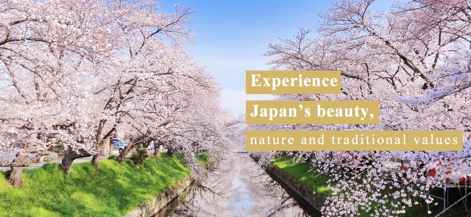 Japan is full of beautiful natural scenery and traditional culture.